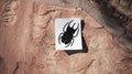 Horned Beetle sticker