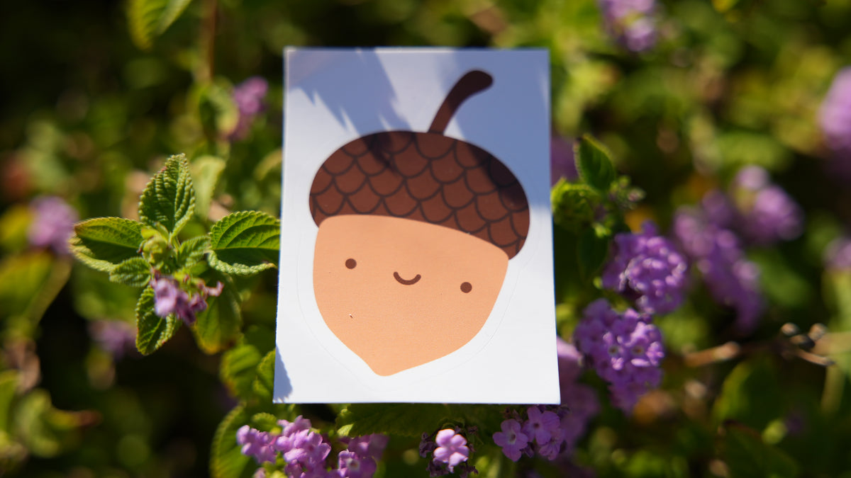 Smiling Acorn Sticker